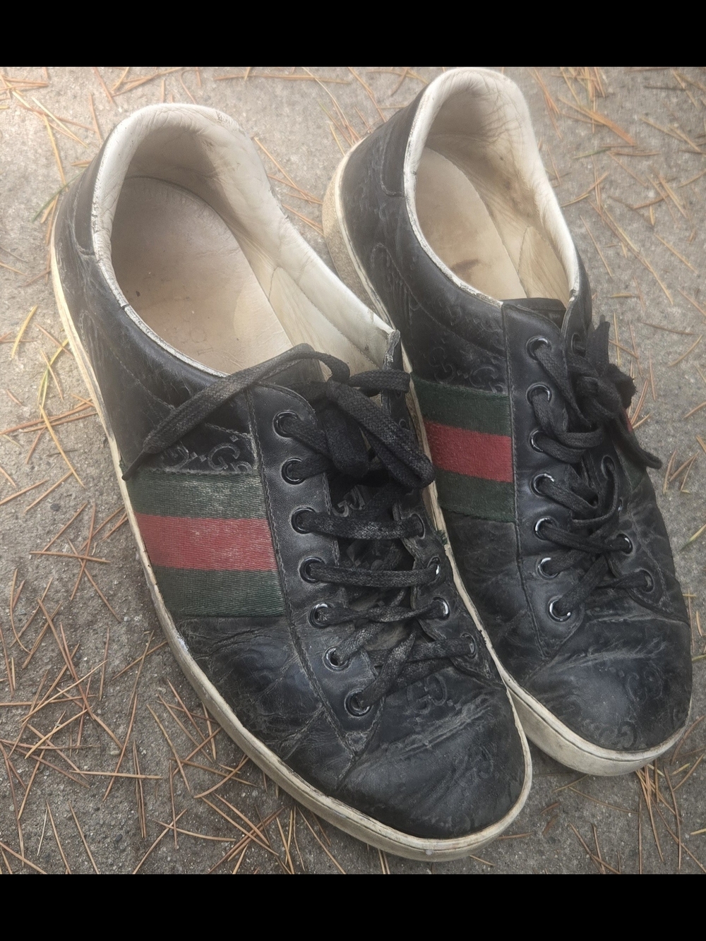 Gucci ACE SNEAKER. BEST PRICED AROUND